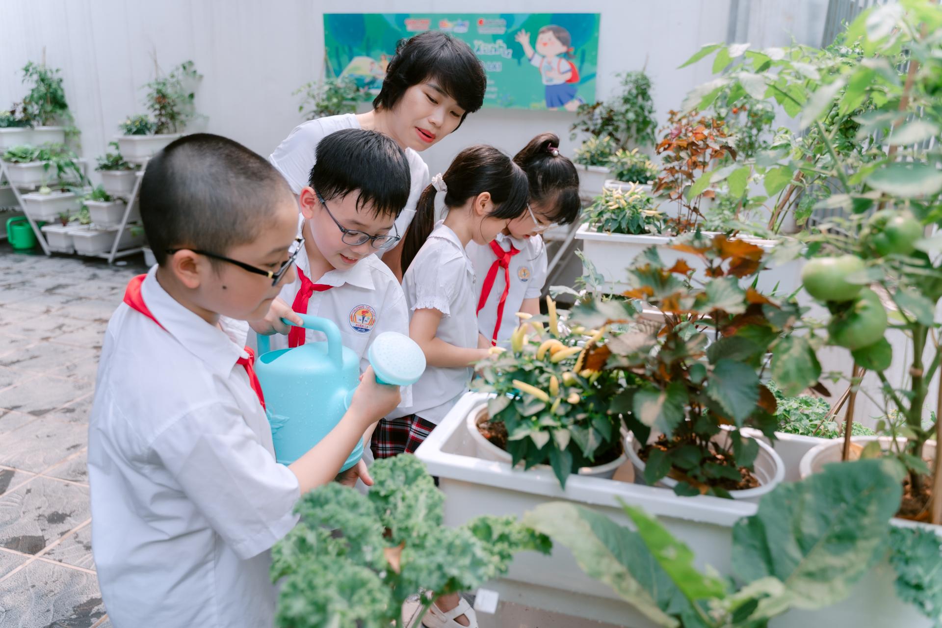 Gieo mầm sống xanh từ mô hình vườn ươm trong học đường